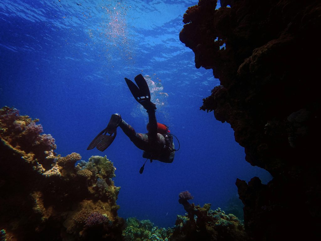 Man in Black Diving Suit Under Water